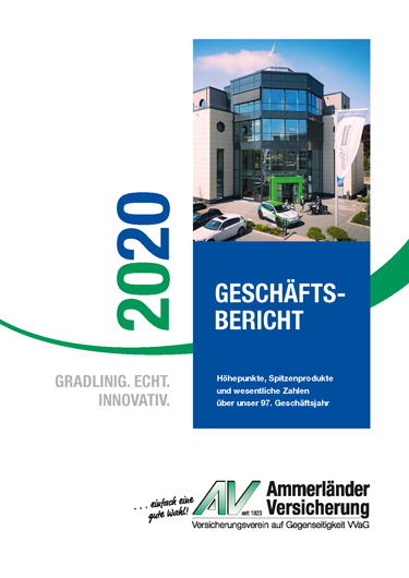Geschätsbericht 2020