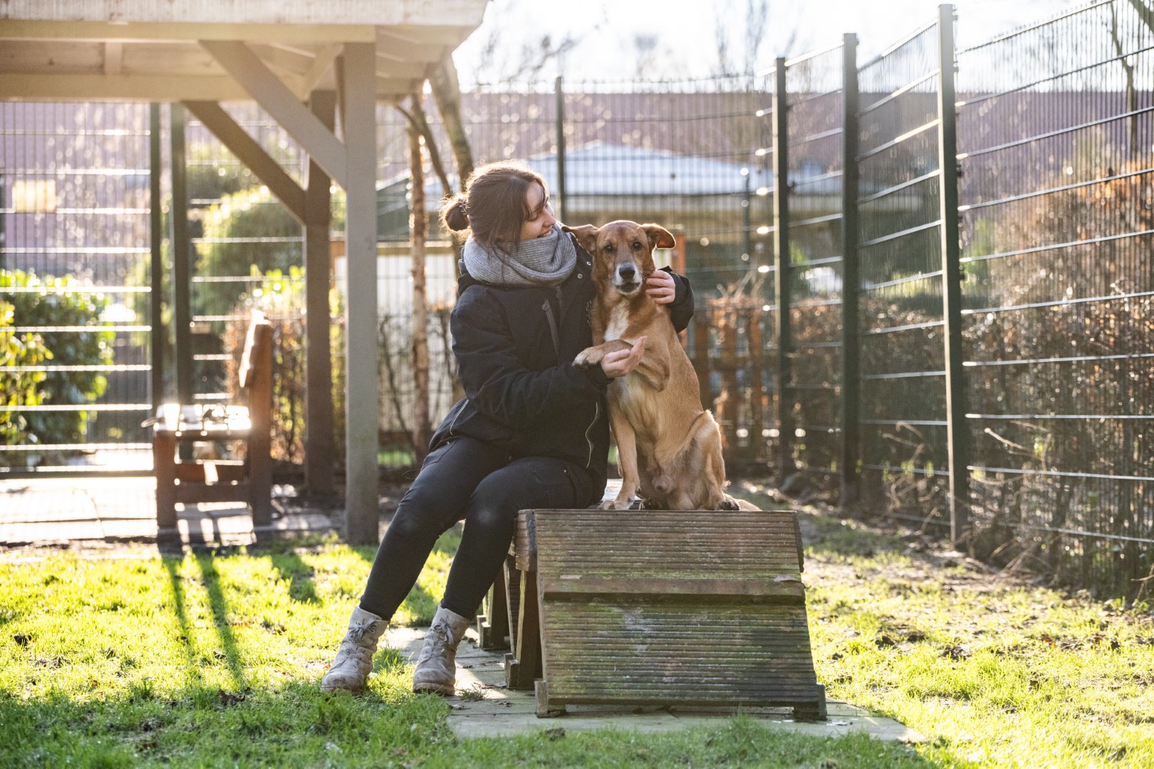 Im Powerpark dürfen sich die Hunde austoben.