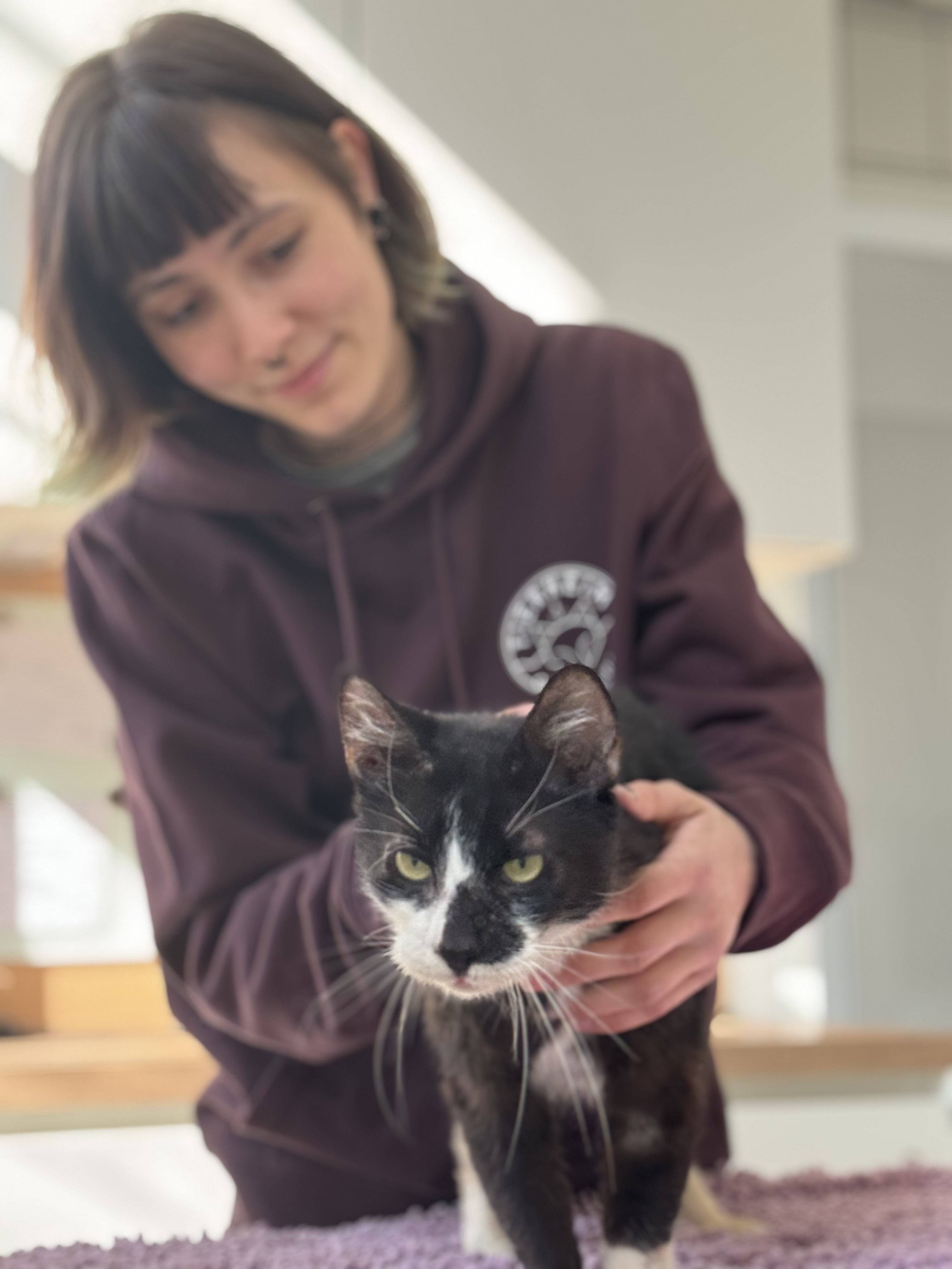 Mitarbeiterin Lena Hauschild weiß, was sich Katzen wünschen.